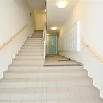 Rent 2 bedroom apartment of 55 m² in Praha