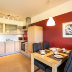 Rent 2 bedroom apartment of 50 m² in Schleiden