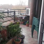 Rent a room in alcala_de_henares