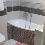 Pronajměte si 1 ložnic/e byt o rozloze 55 m² v Prague