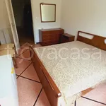 Rent 3 bedroom apartment of 80 m² in Rapallo