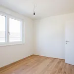 Rent 3 bedroom apartment of 68 m² in Vienna