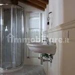 Rent 5 bedroom apartment of 200 m² in Lucca