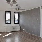 Huur 2 slaapkamer appartement van 62 m² in Vijfhoek