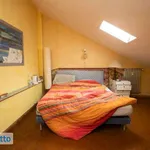 Rent 4 bedroom apartment of 110 m² in Turin