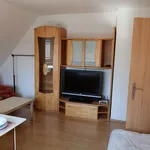 Rent 1 bedroom apartment of 22 m² in Brno