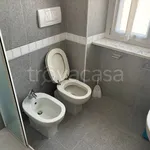 Rent 2 bedroom apartment of 60 m² in Torino