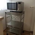 Rent 1 bedroom apartment of 45 m² in Mannheim