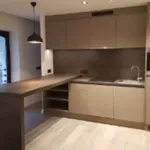 Rent 1 bedroom apartment in brussels