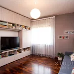 Rent 3 bedroom apartment of 80 m² in Pistoia