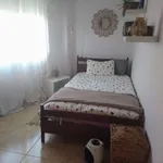 Rent a room of 80 m² in alicante