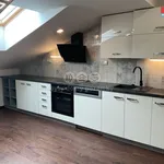 Rent 3 bedroom apartment of 89 m² in Praha