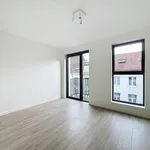 Rent 2 bedroom apartment of 85 m² in Brussels