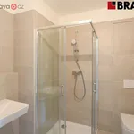 Rent 2 bedroom apartment in Brno