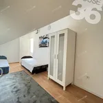 Rent 10 bedroom house of 350 m² in Kecskemét