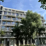 Rent 1 bedroom apartment in Antwerpen