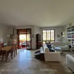 Rent 7 bedroom apartment of 145 m² in Firenze