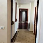 Rent 5 bedroom apartment of 126 m² in Reggio di Calabria