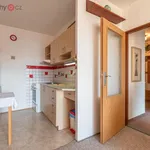 Pronajměte si 2 ložnic/e byt o rozloze 41 m² v Litvínov