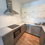 Rent 1 bedroom apartment in Capital City of Prague