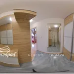 Rent 1 bedroom apartment of 48 m² in Plzeň