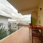 Rent 2 bedroom apartment of 55 m² in Velletri