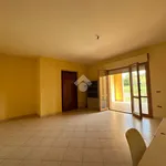 Rent 1 bedroom apartment of 110 m² in Montecastrilli