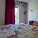 Rent 4 bedroom apartment in Valencia