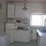 Rent 3 bedroom apartment of 50 m² in Ancona