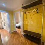 Rent 3 bedroom apartment of 80 m² in Lucca