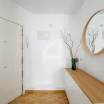 Rent 1 bedroom apartment in Madrid