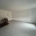 3-room flat good condition, ground floor, San Maurizio al Lambro, Cologno Monzese