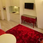  appartement avec 1 chambre(s) en location à Paris