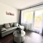 Rent 2 bedroom apartment in Karlovy Vary