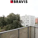 Rent 1 bedroom apartment in Brno