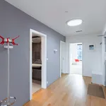 Pronajměte si 3 ložnic/e byt o rozloze 171 m² v Prague