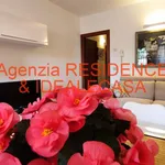 Rent 3 bedroom apartment of 50 m² in Padova