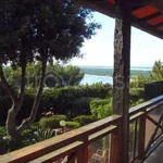 Rent 8 bedroom house of 300 m² in Orbetello