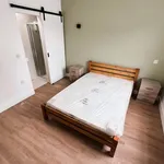 Rent 8 bedroom house in East Of England