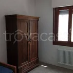 Rent 3 bedroom apartment of 115 m² in Carbonera