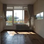 Huur 3 slaapkamer appartement van 92 m² in Eindhoven