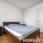 Rent 1 bedroom apartment in Capital City of Prague