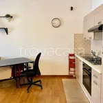 Rent 1 bedroom apartment of 45 m² in Segrate