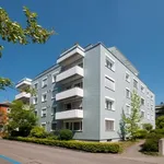 Miete 3 Schlafzimmer wohnung von 70 m² in Winterthur