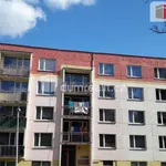 Rent 1 bedroom apartment of 25 m² in Děčín