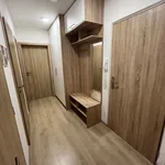 Rent 1 bedroom house in Hodonín