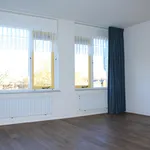 Rent 1 bedroom apartment of 33 m² in Berkel en Rodenrijs