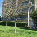 Rent 2 bedroom apartment of 50 m² in Pescara