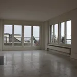 Rent 4 bedroom apartment in Zurich