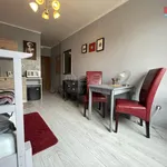 Rent 1 bedroom apartment of 23 m² in Brno